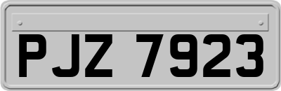 PJZ7923