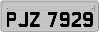 PJZ7929