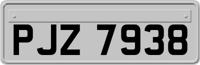 PJZ7938