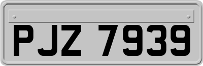 PJZ7939
