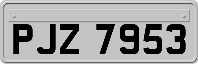 PJZ7953