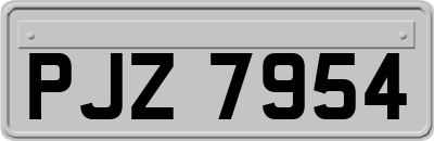 PJZ7954