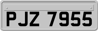 PJZ7955
