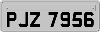 PJZ7956