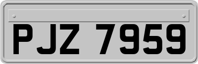 PJZ7959