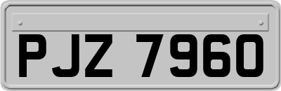 PJZ7960
