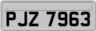 PJZ7963