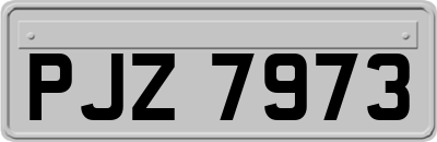PJZ7973