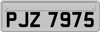 PJZ7975