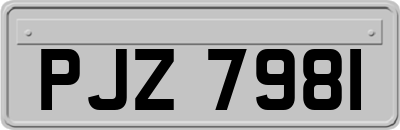 PJZ7981