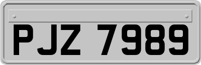PJZ7989