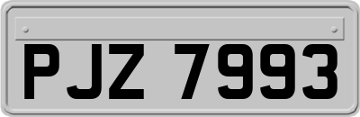 PJZ7993