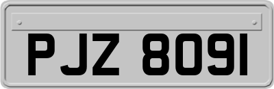 PJZ8091