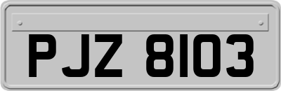 PJZ8103