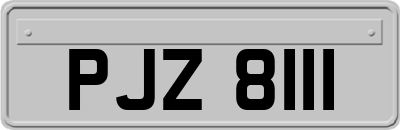PJZ8111