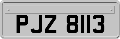 PJZ8113