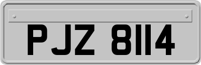 PJZ8114