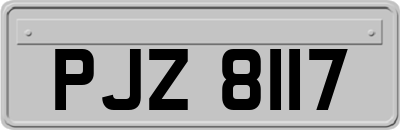 PJZ8117