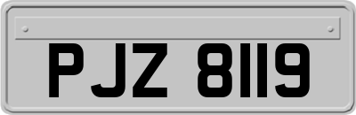 PJZ8119