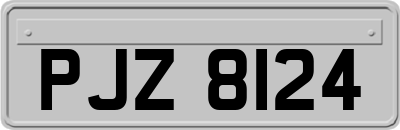 PJZ8124