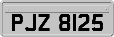 PJZ8125