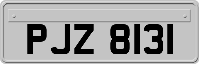 PJZ8131