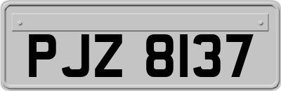 PJZ8137