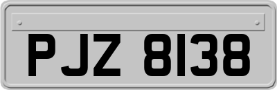 PJZ8138