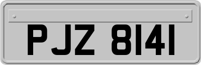 PJZ8141