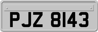 PJZ8143