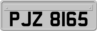 PJZ8165