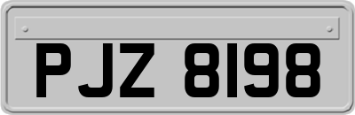 PJZ8198