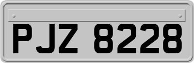 PJZ8228