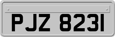 PJZ8231