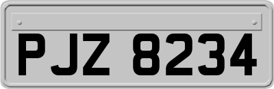 PJZ8234