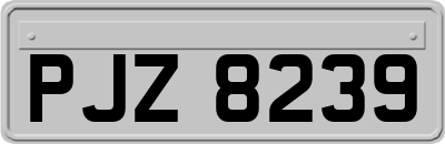 PJZ8239