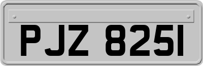 PJZ8251
