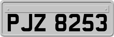 PJZ8253