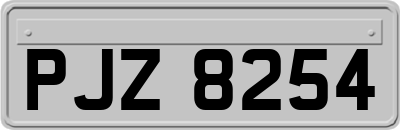 PJZ8254