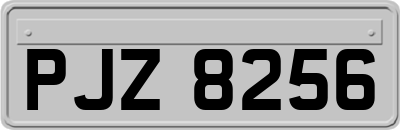 PJZ8256