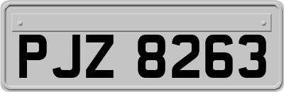 PJZ8263