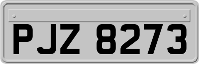 PJZ8273