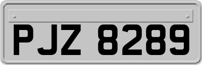 PJZ8289