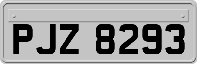 PJZ8293