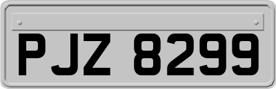 PJZ8299