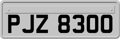 PJZ8300