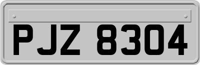 PJZ8304