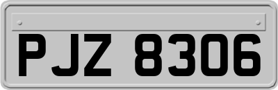 PJZ8306