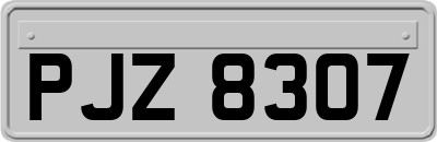 PJZ8307
