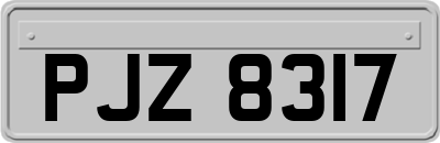 PJZ8317